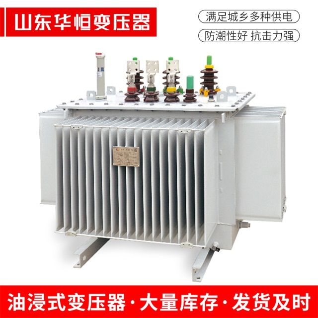 S13-10000/35梁平梁平梁平电力变压器